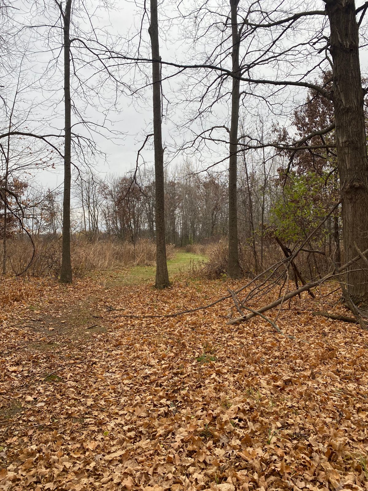 Hole 6 from the Tee pad.