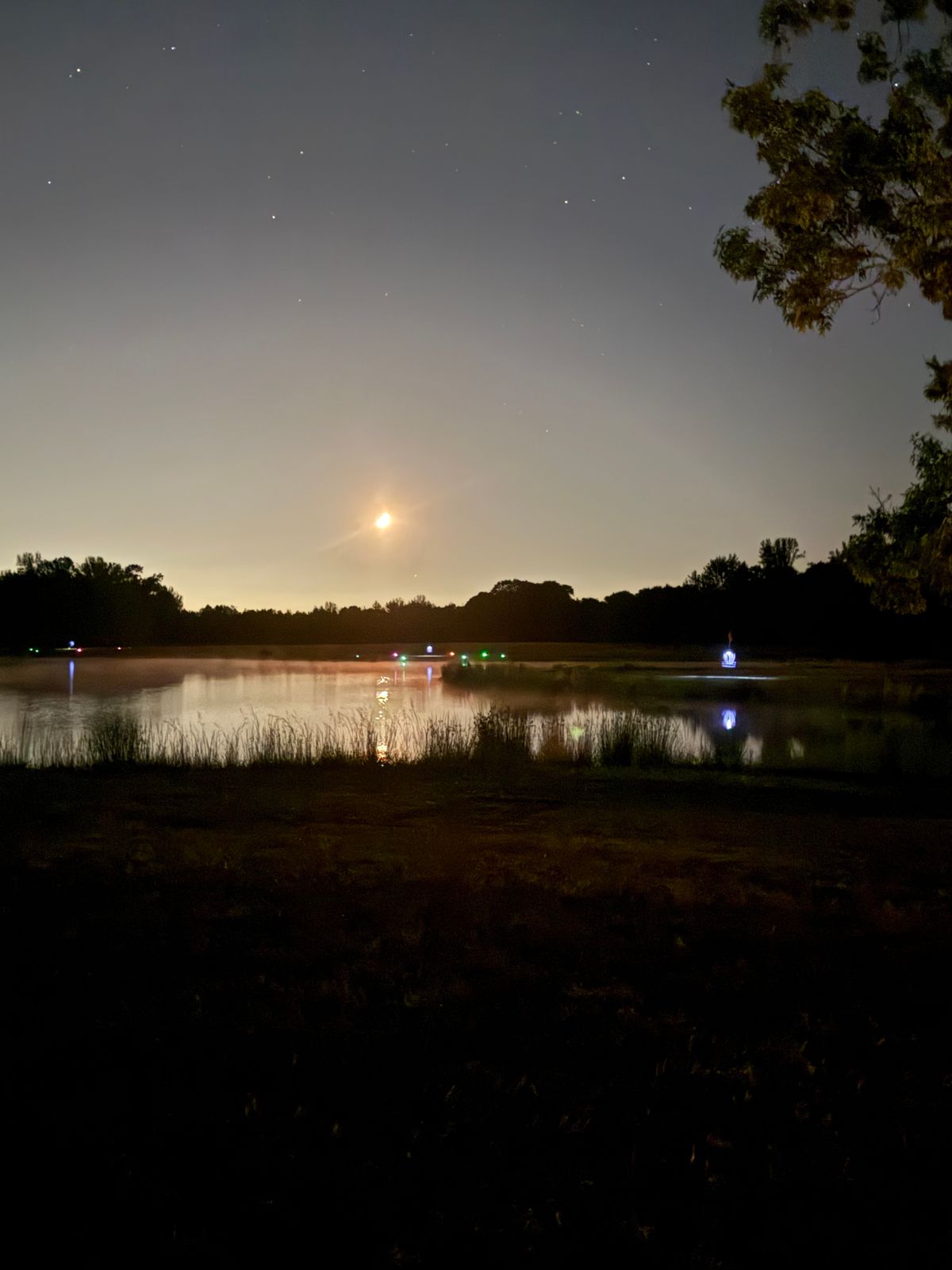 Midnight glow, approaching 16 under Oakley (Big Oak)
