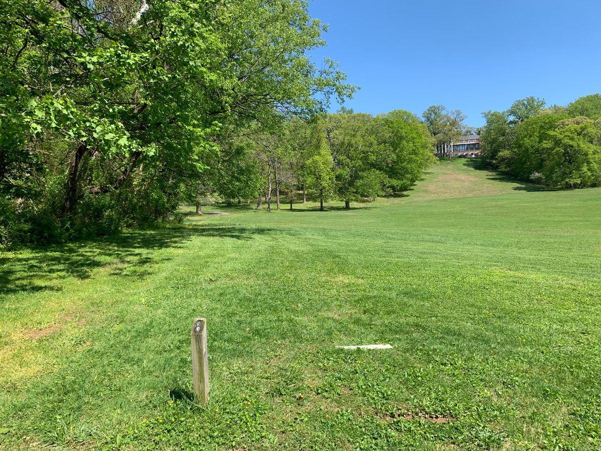 Hole 8 tee. Par 4. Basket is slightly to the left and directly left of the trees past the open feild