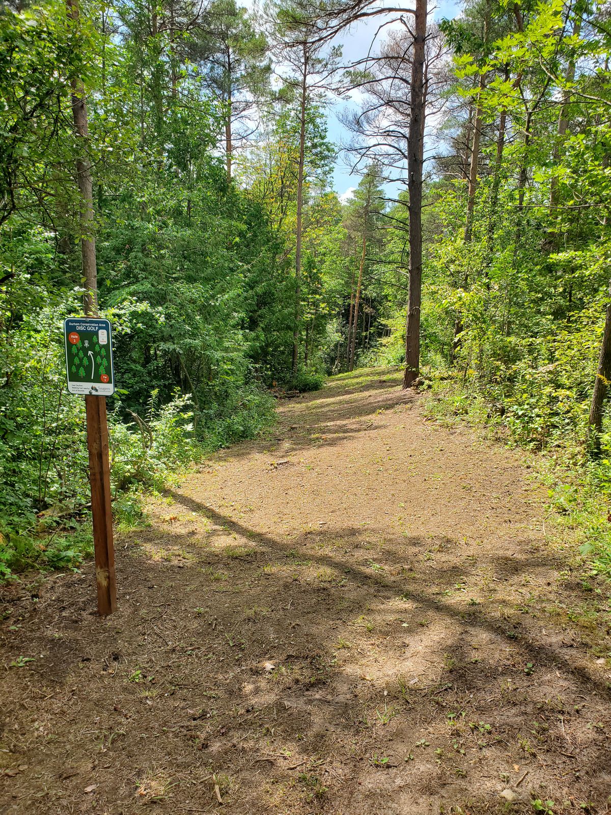 Hole 3