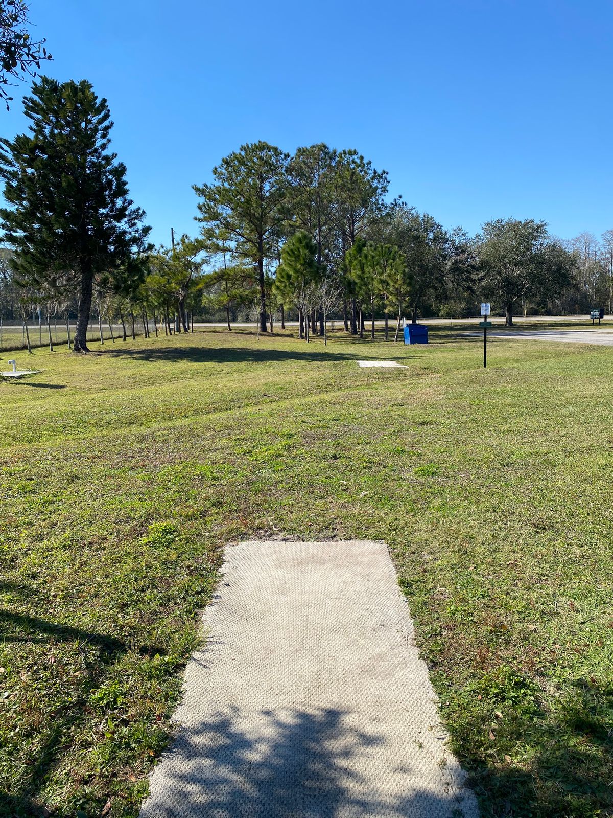 Hole 12 gold tee.