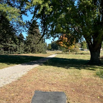 Hole 12 teepad