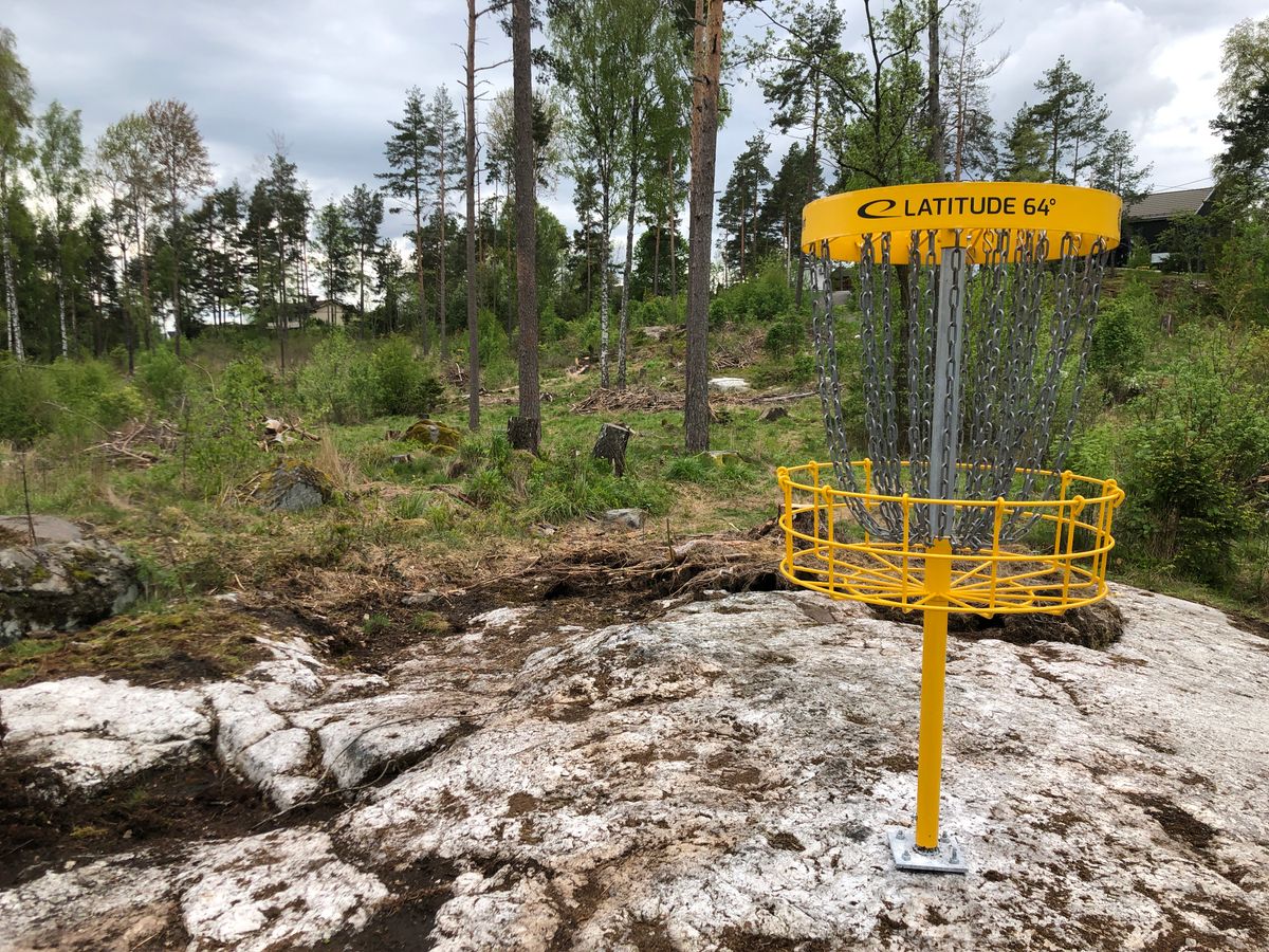 Hole 9 from basket