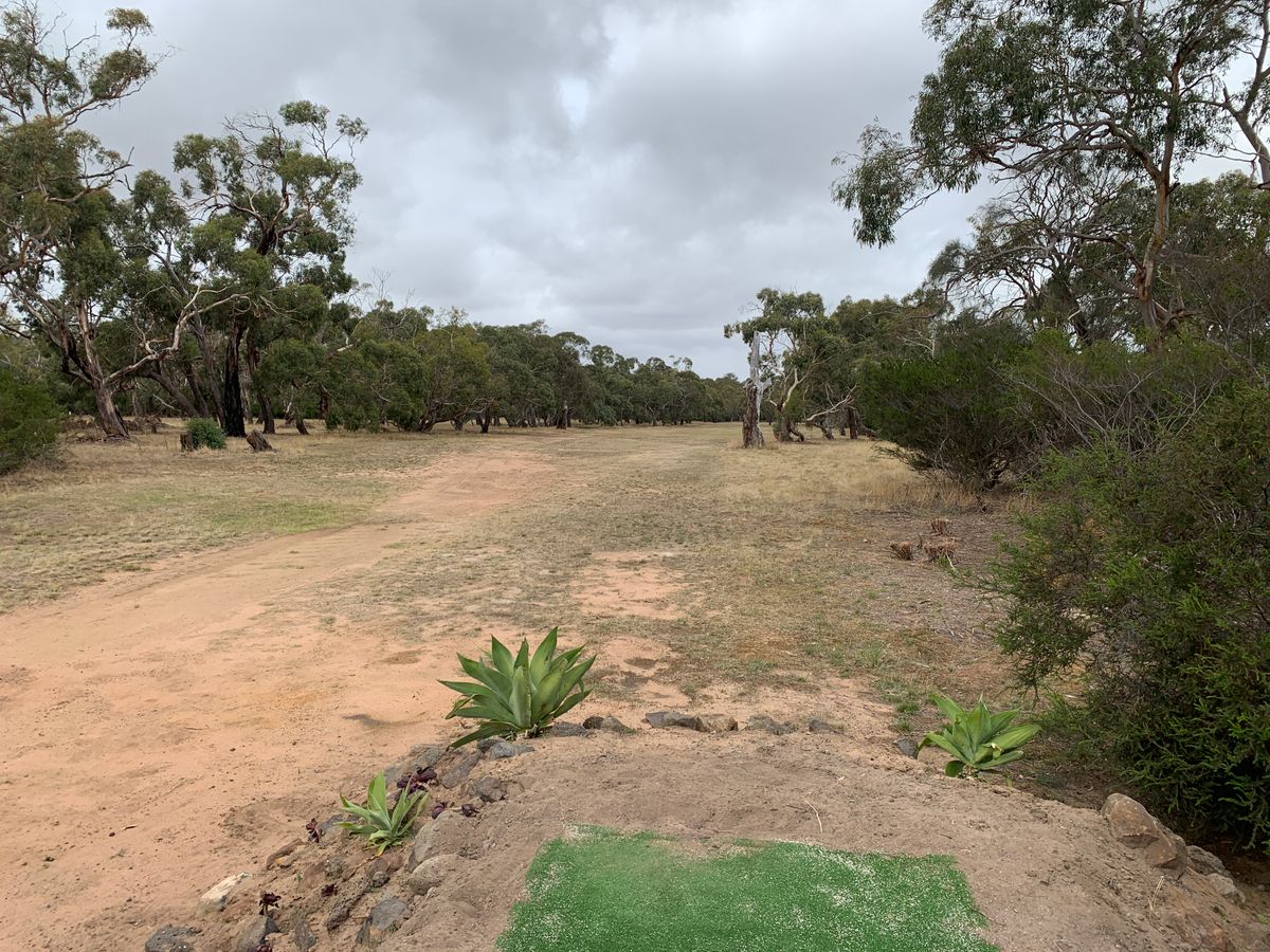Hole 7