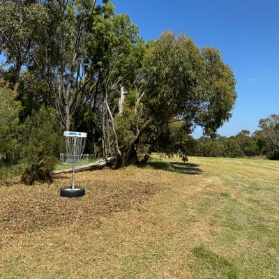 New position of basket on hole 9/18