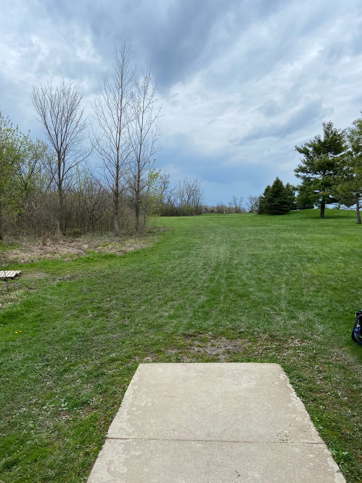 Tee of hole 7. 459 feet out to the large fairway. Pine trees often play as a mando to the left.