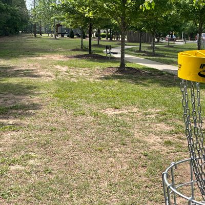 Looking back toward Target 2, a tree trunk marked with orange survey tape.