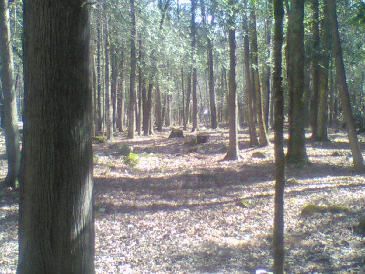 Hole 15