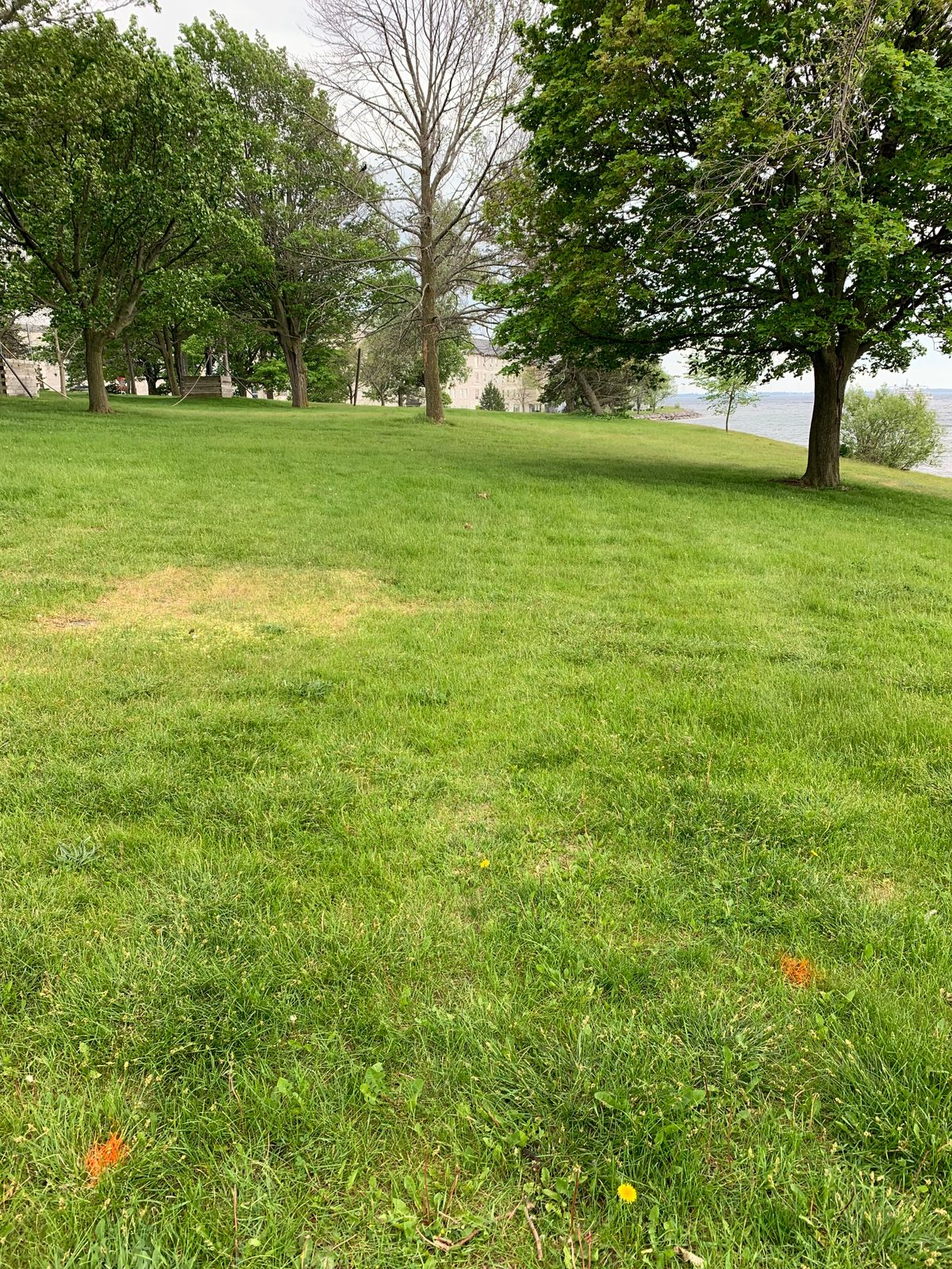 Hole 5 white tee