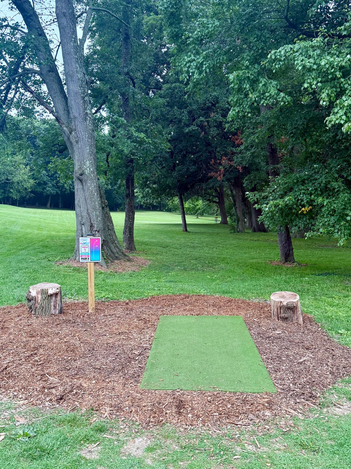 Hole 1 tee pad looking good! 👌🏼🥏