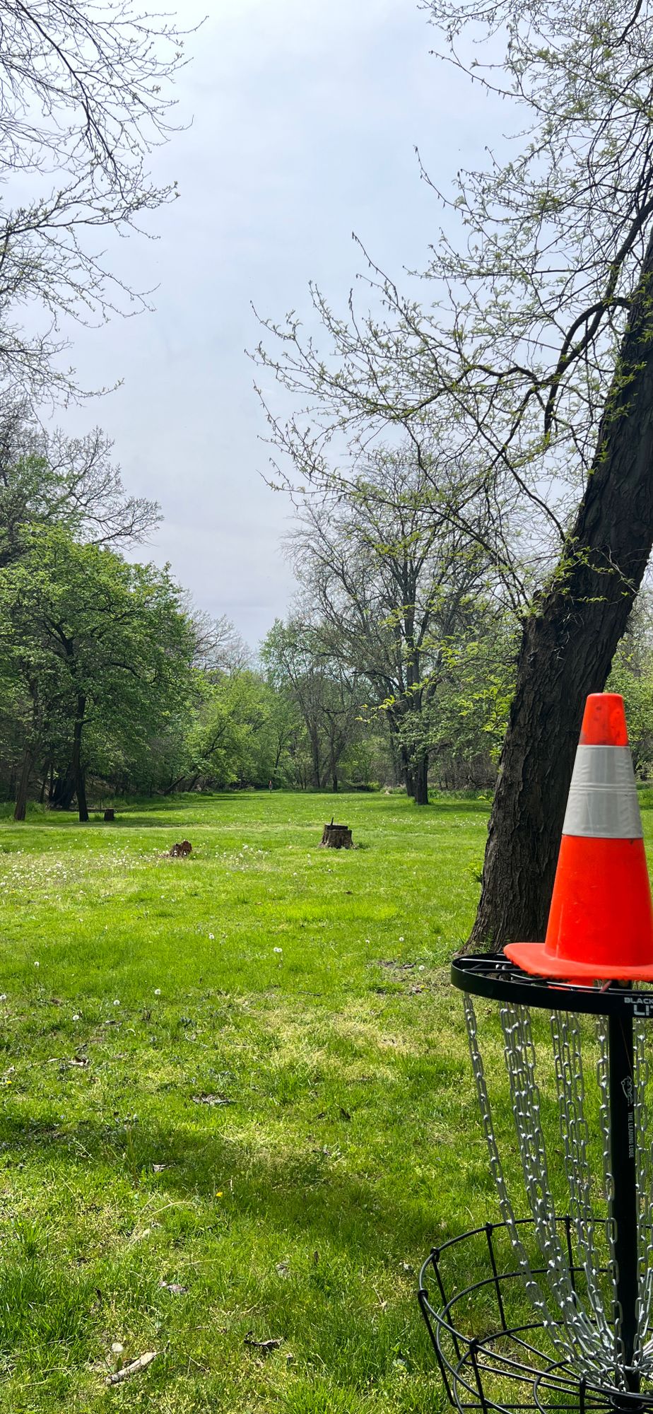 Hole 9