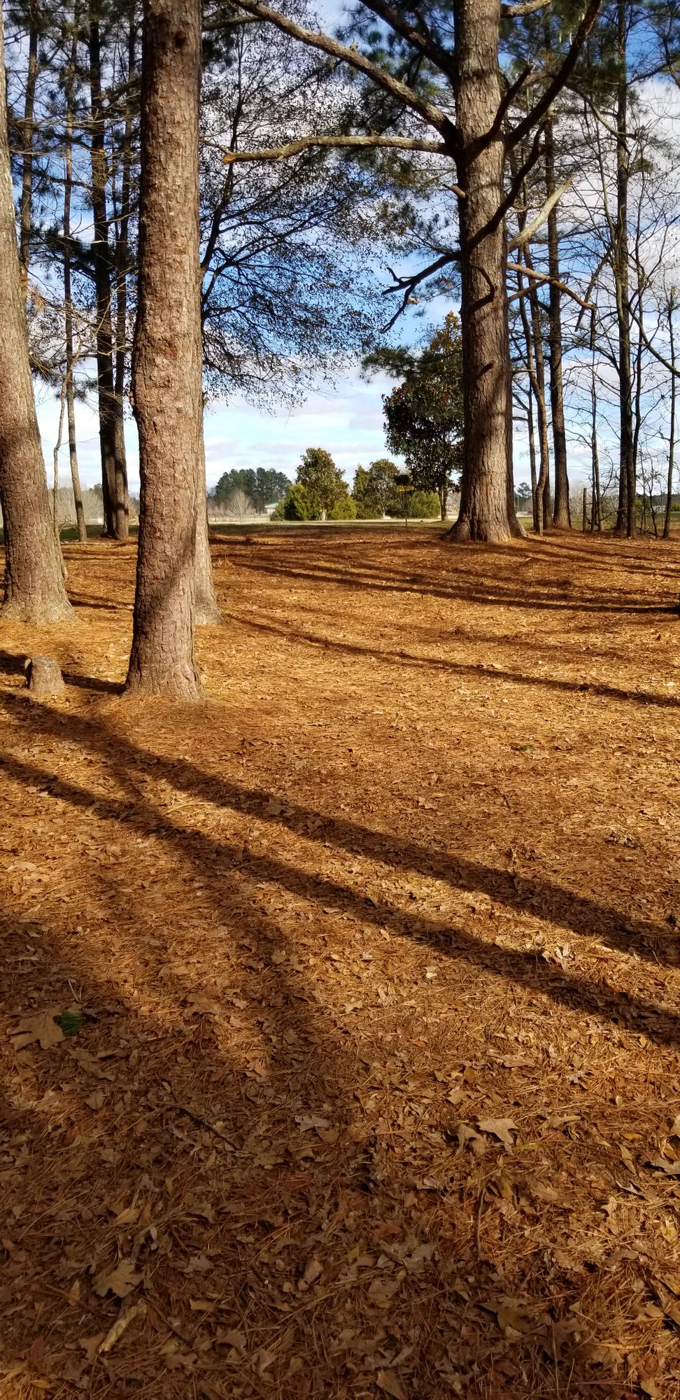 Hole 6 Fairway/Approach