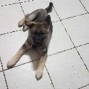 User avatar image