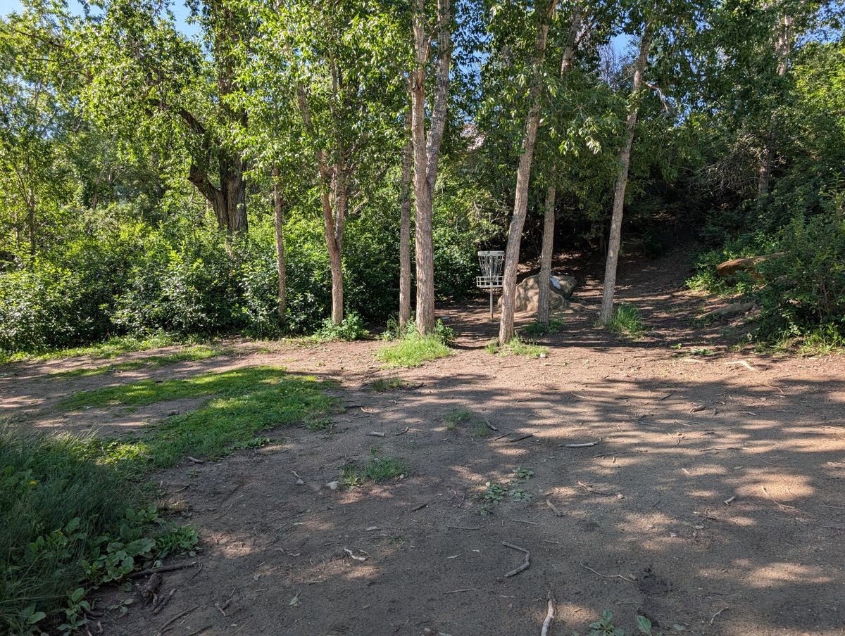 This is a fun course