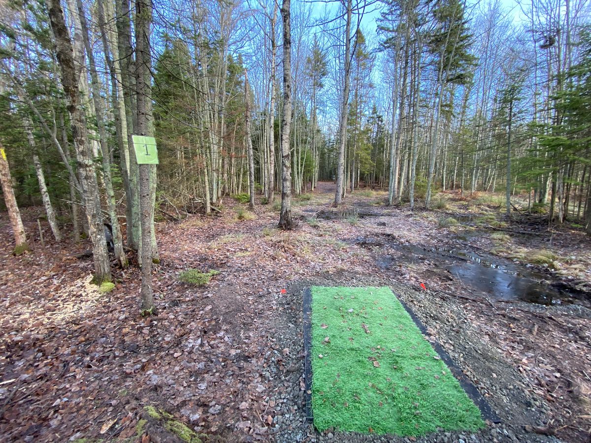 Hole 1 short tee