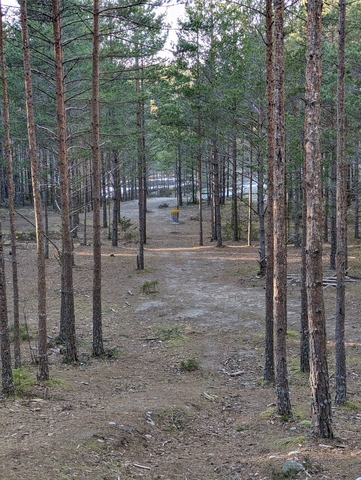 Hole 10. Long tee at Gravel Pit Discgolfpark.