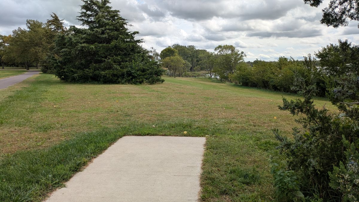 Tee #7