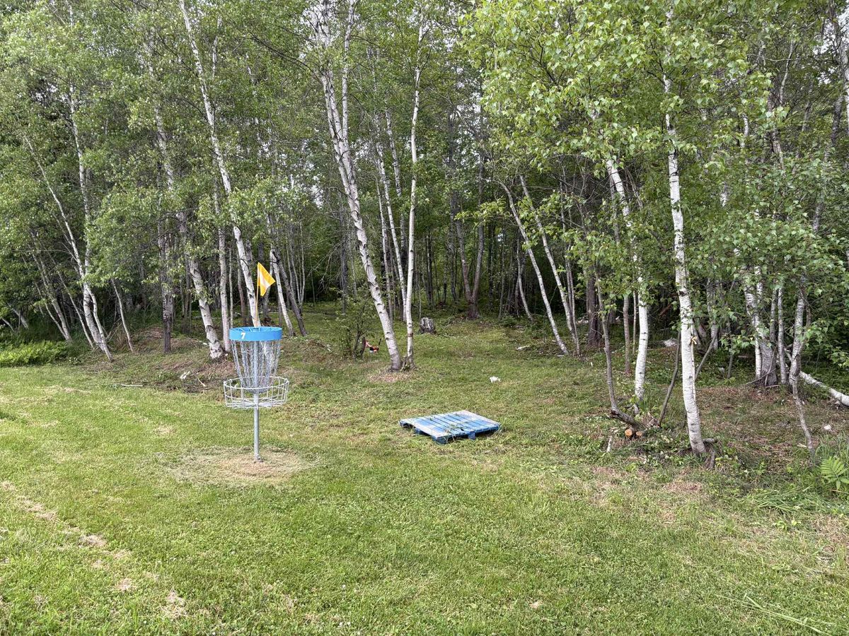 Green hole 7