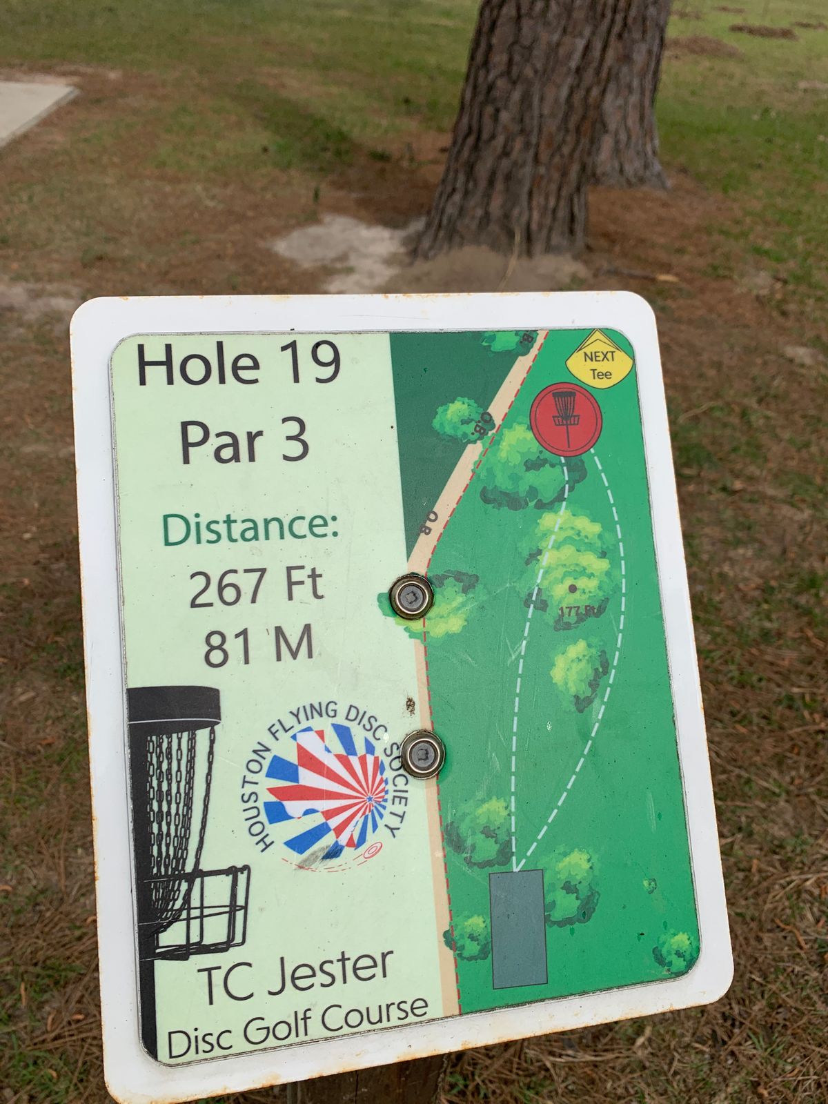 19