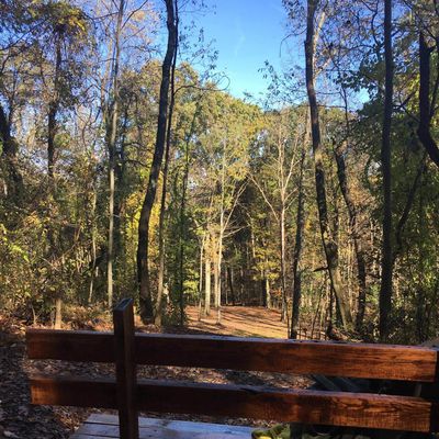 Hole 7 tee.