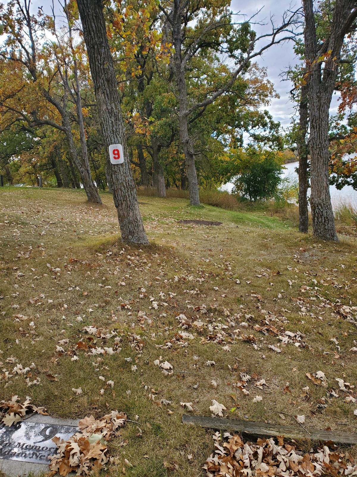 #9 Tee