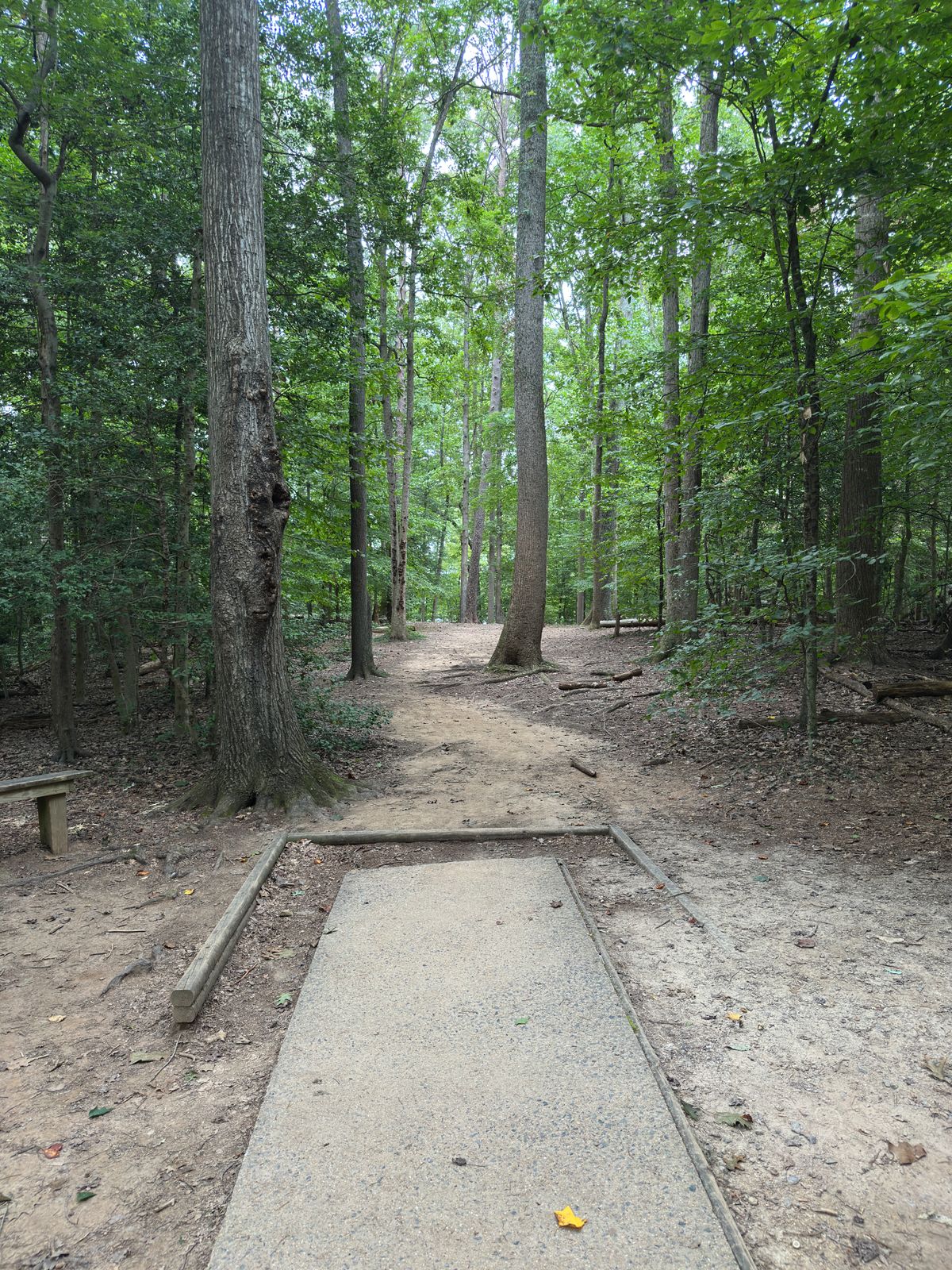 Burke Lake Park