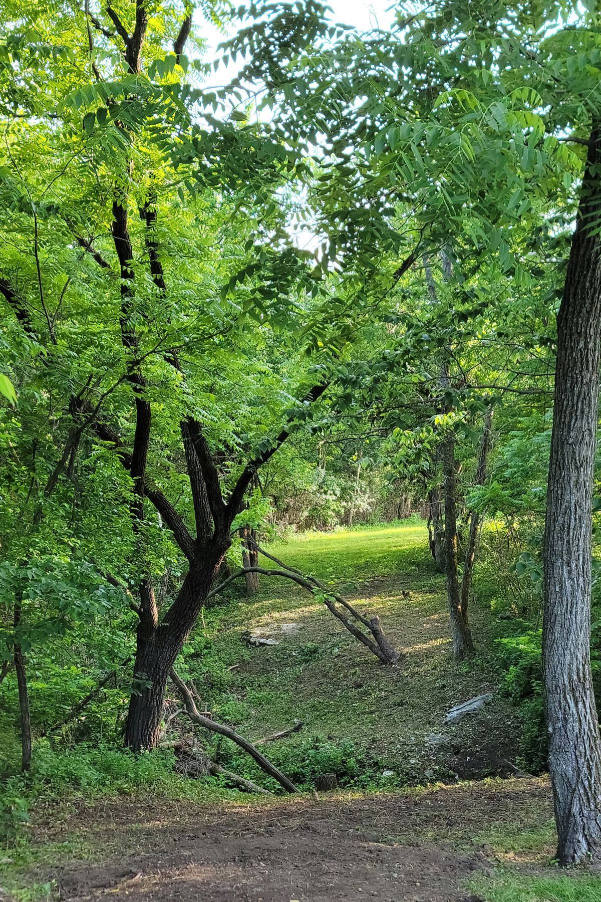 Hole 4 looking from the tee, 275' dogleg right