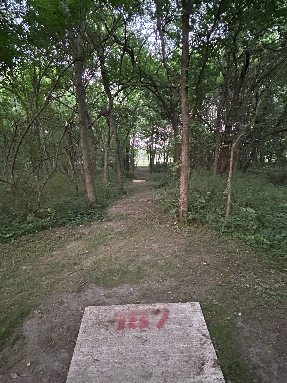 Hole #10 tee pad to basket 6' tunnel shot