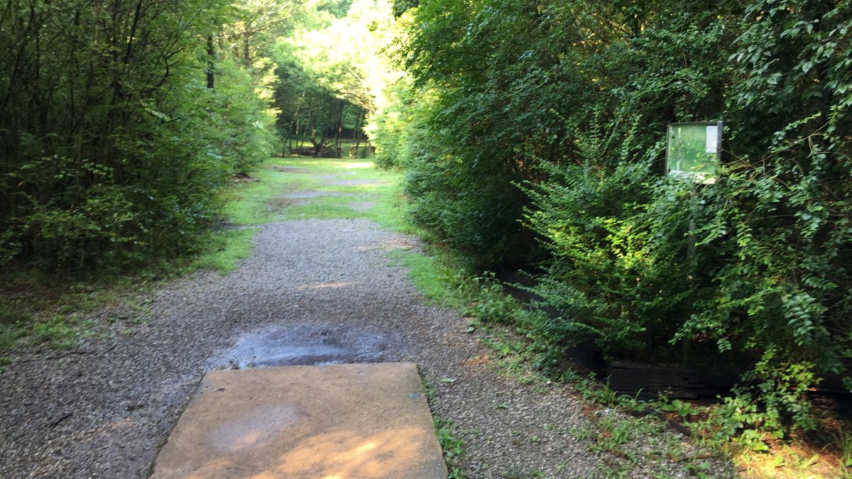 Hole 13