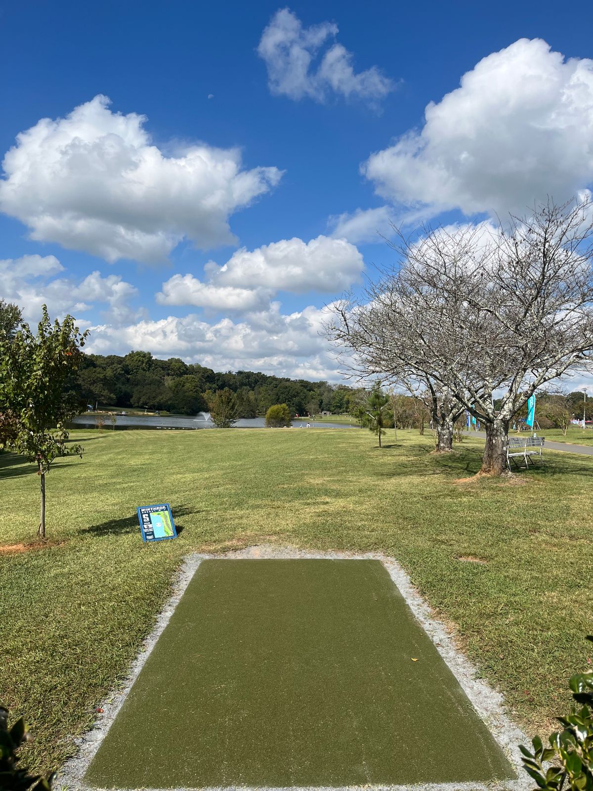 USDGC Hole 5. Can see 17 basket and bamboo wall in the distance.