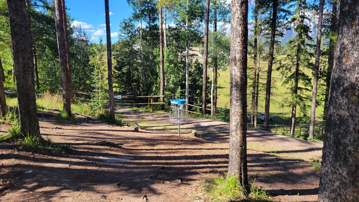 Hole 18 Basket and Green