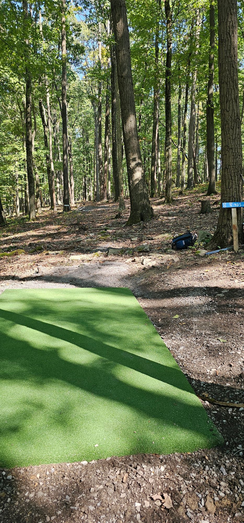 #8 Blue Tee