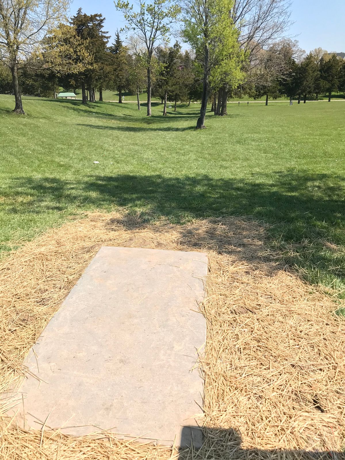 Hole 11