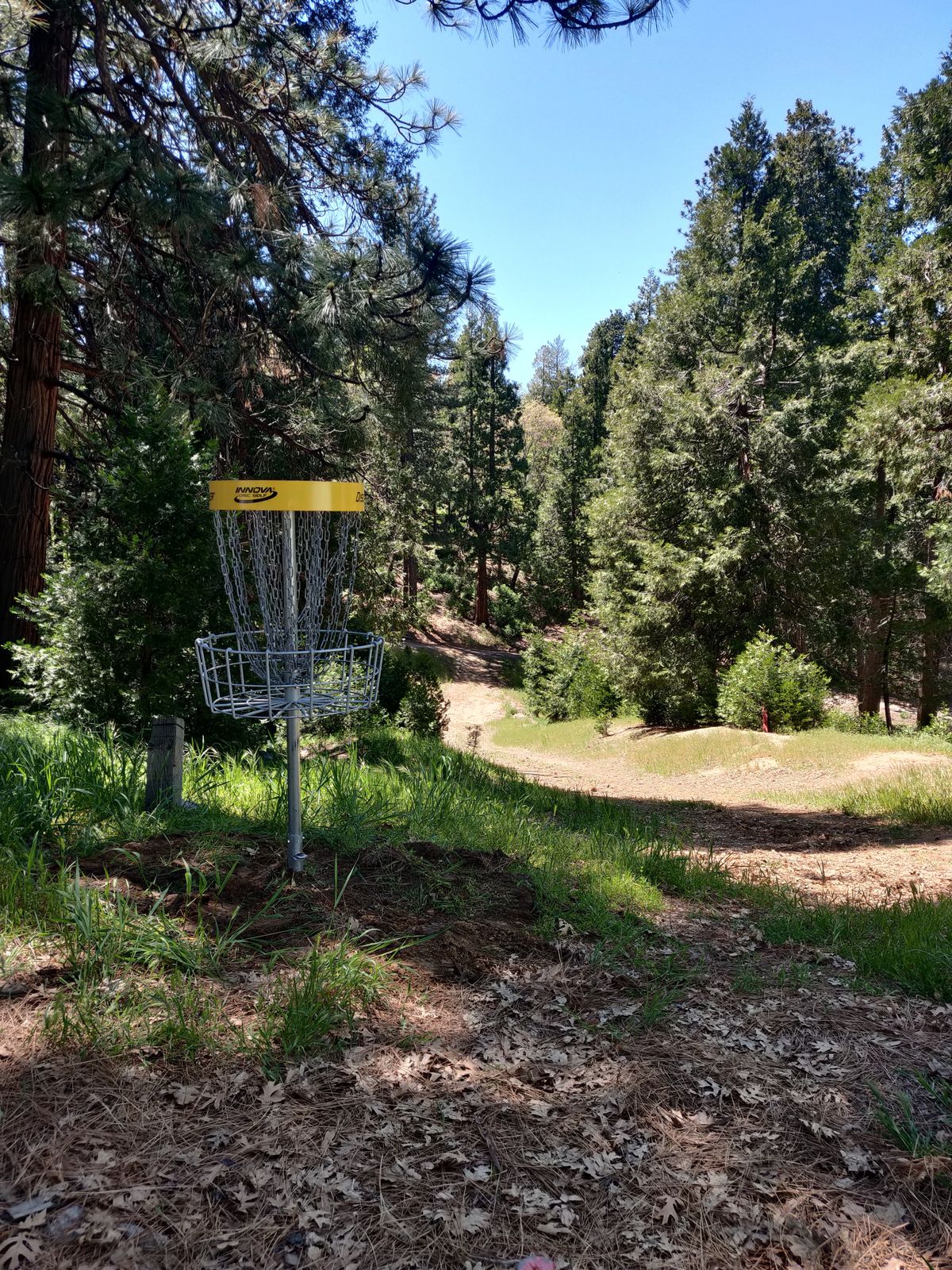 Hole 18 from basket. Tee is down the hill.