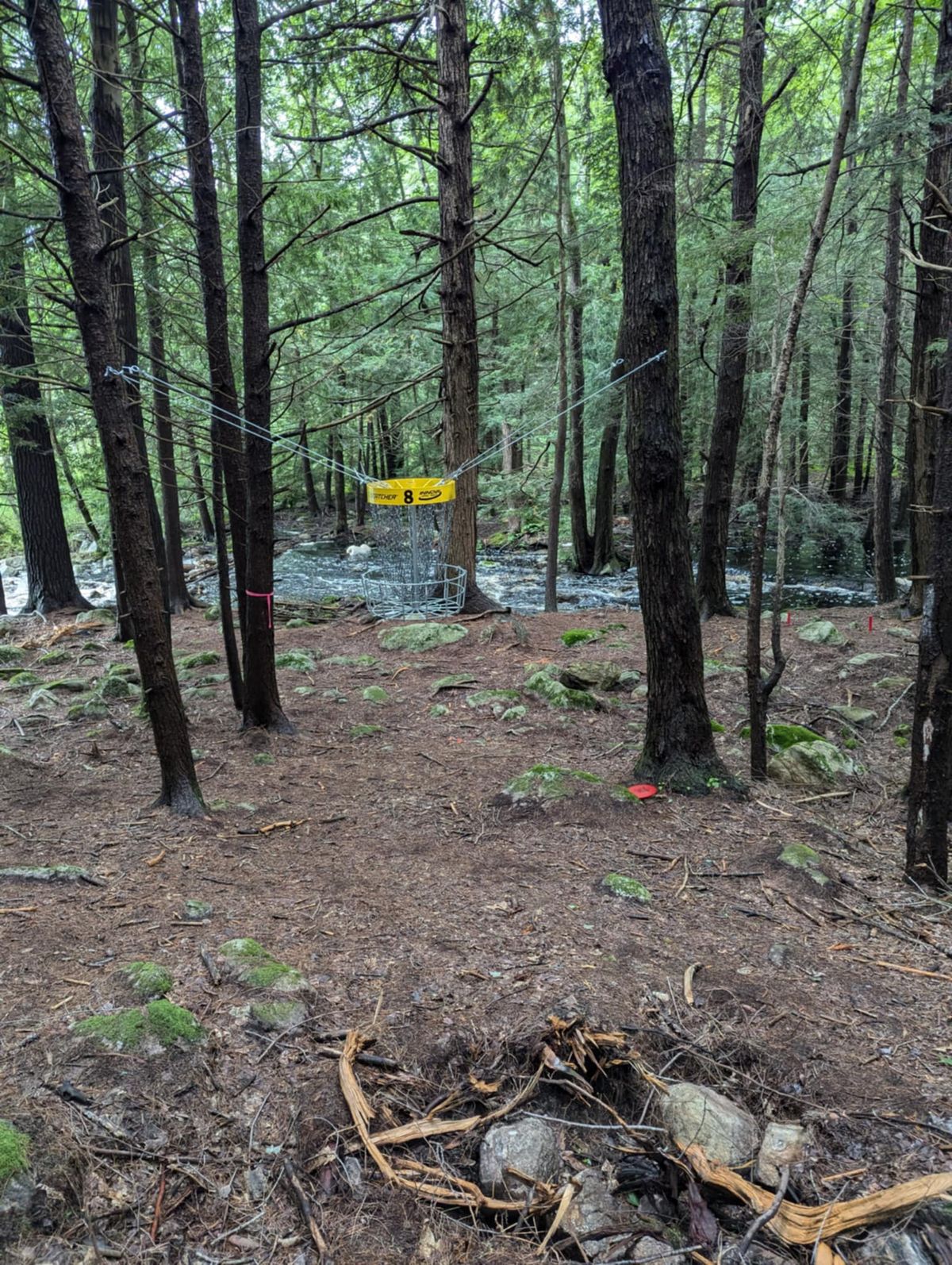 Hole 8 basket by creek