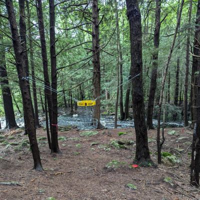 Hole 8 basket by creek