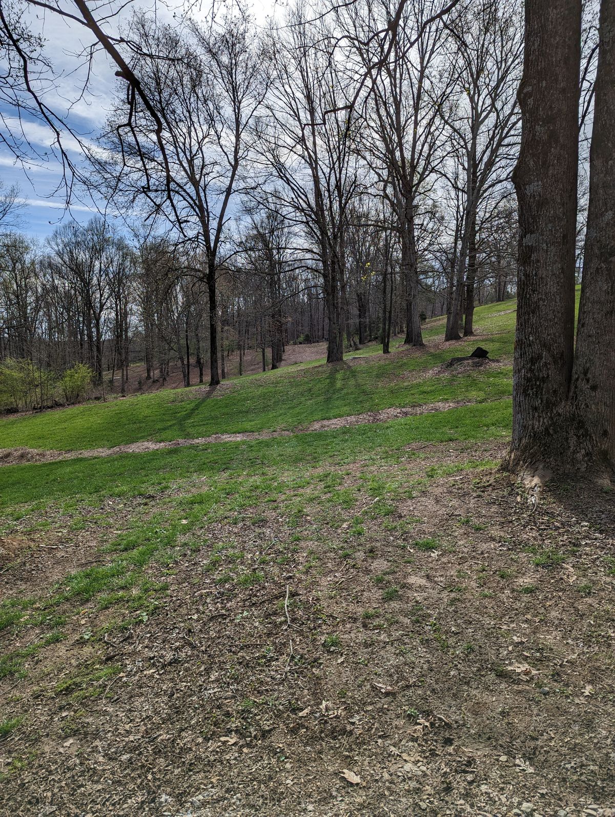 Hole 9, long tee