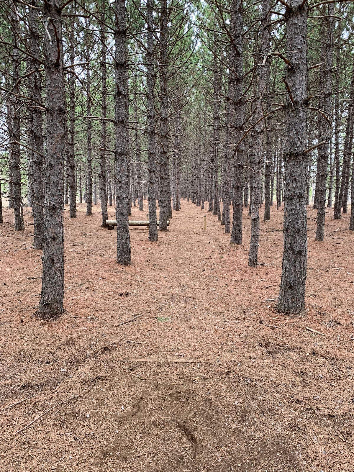 Hole 7 tee box (long)