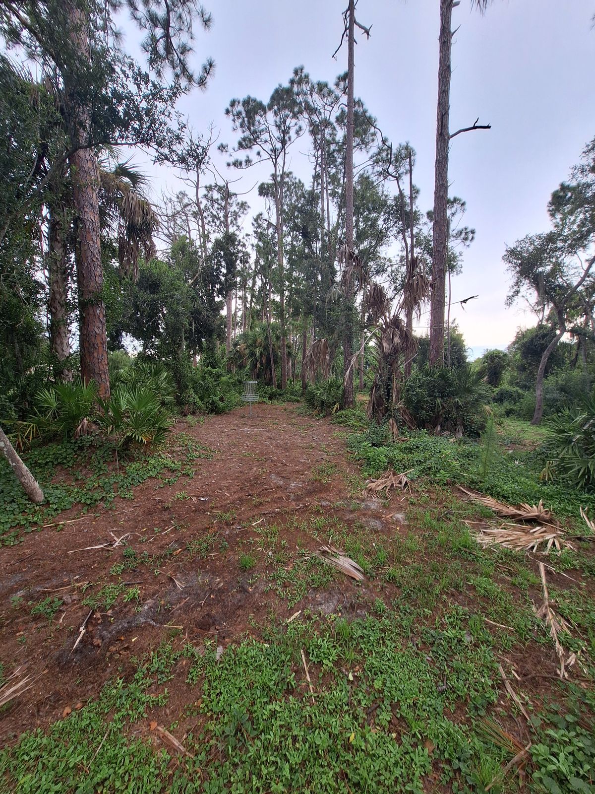 Hole 7 pin location