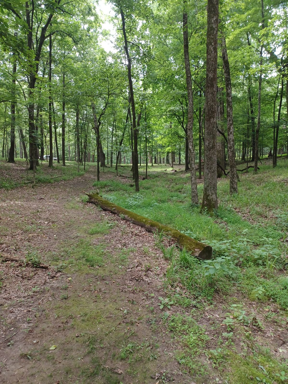 Hole 6