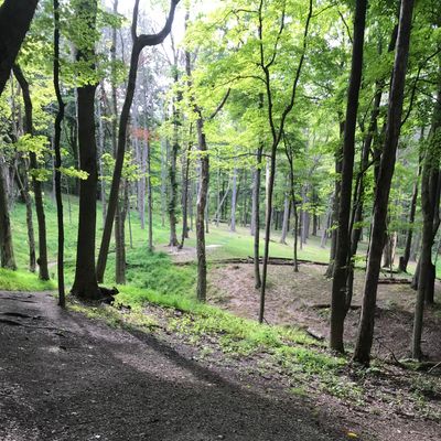 Hole 15 blue tee pad