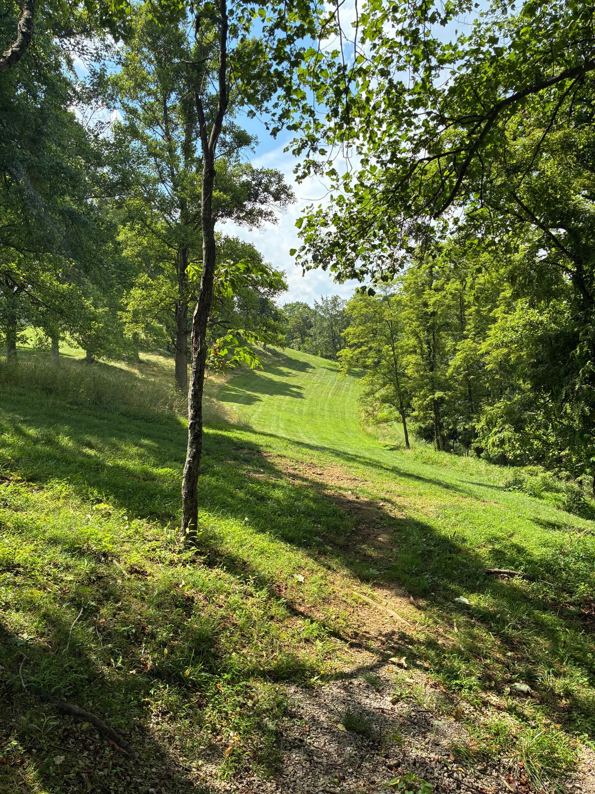 #8 Tee box