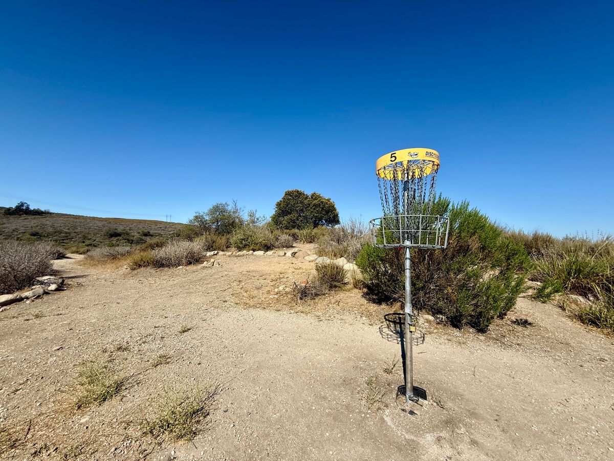 Hole 5 basket on island