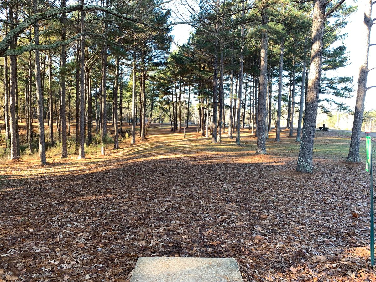 View from hole 1 tee. Basket it little off right of center
