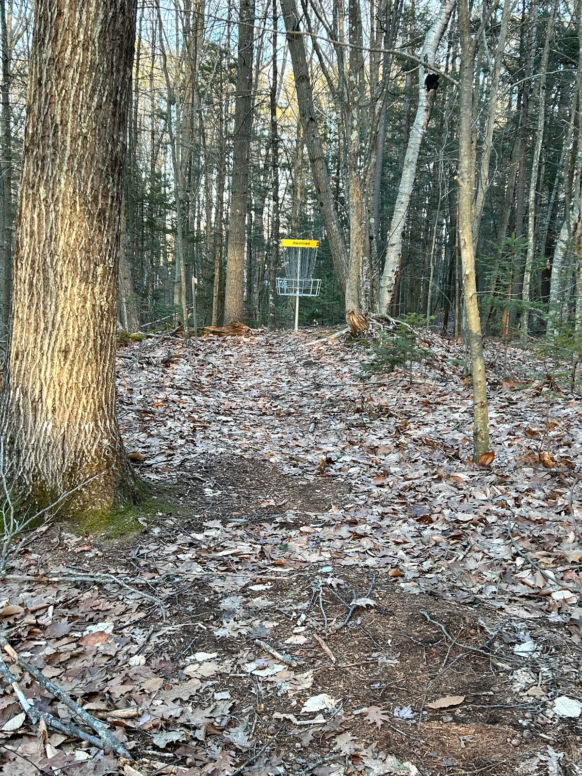 3rd hole
