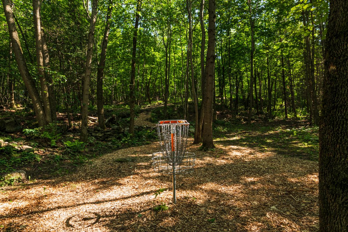 Hole 5 basket