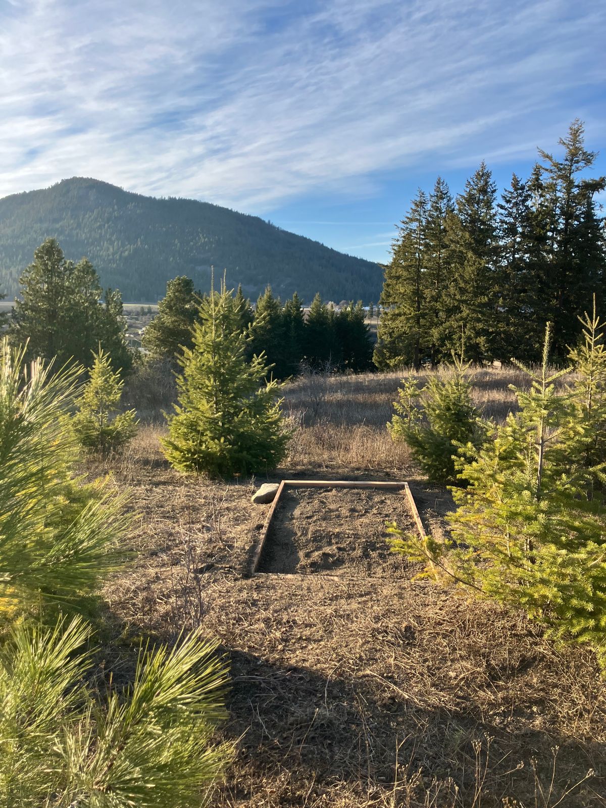 Hole 2 "canopy crasher"