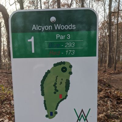Hole 1 Tee Sign