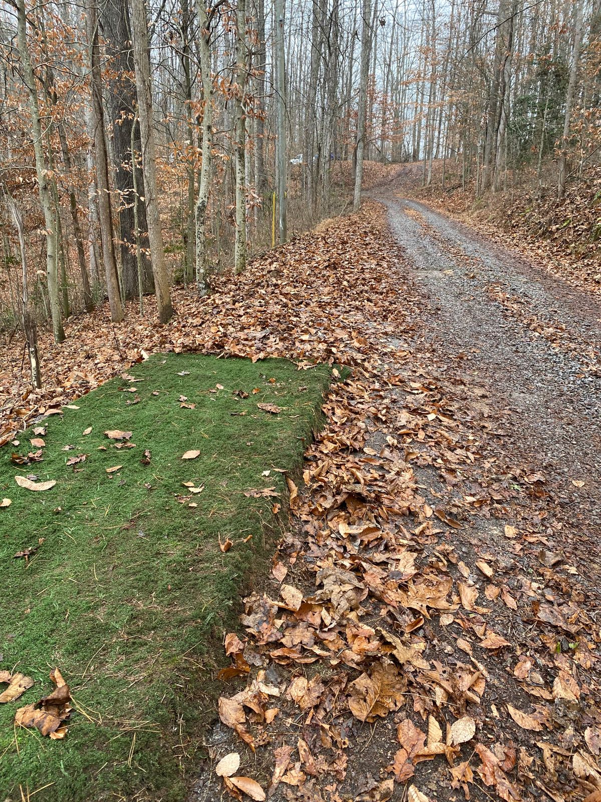 Hole 2 Tee