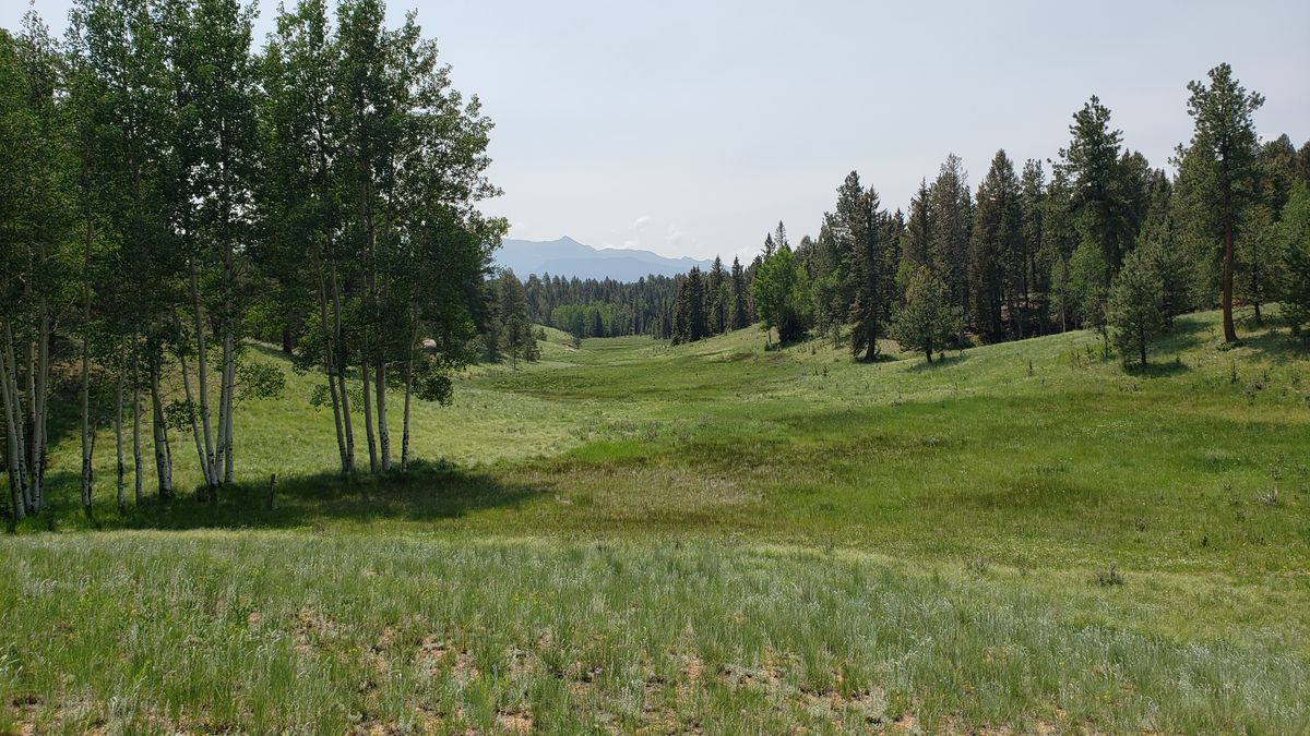 Front 9 plays across this meadow a lot.